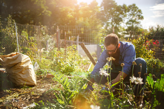 Gardening Service